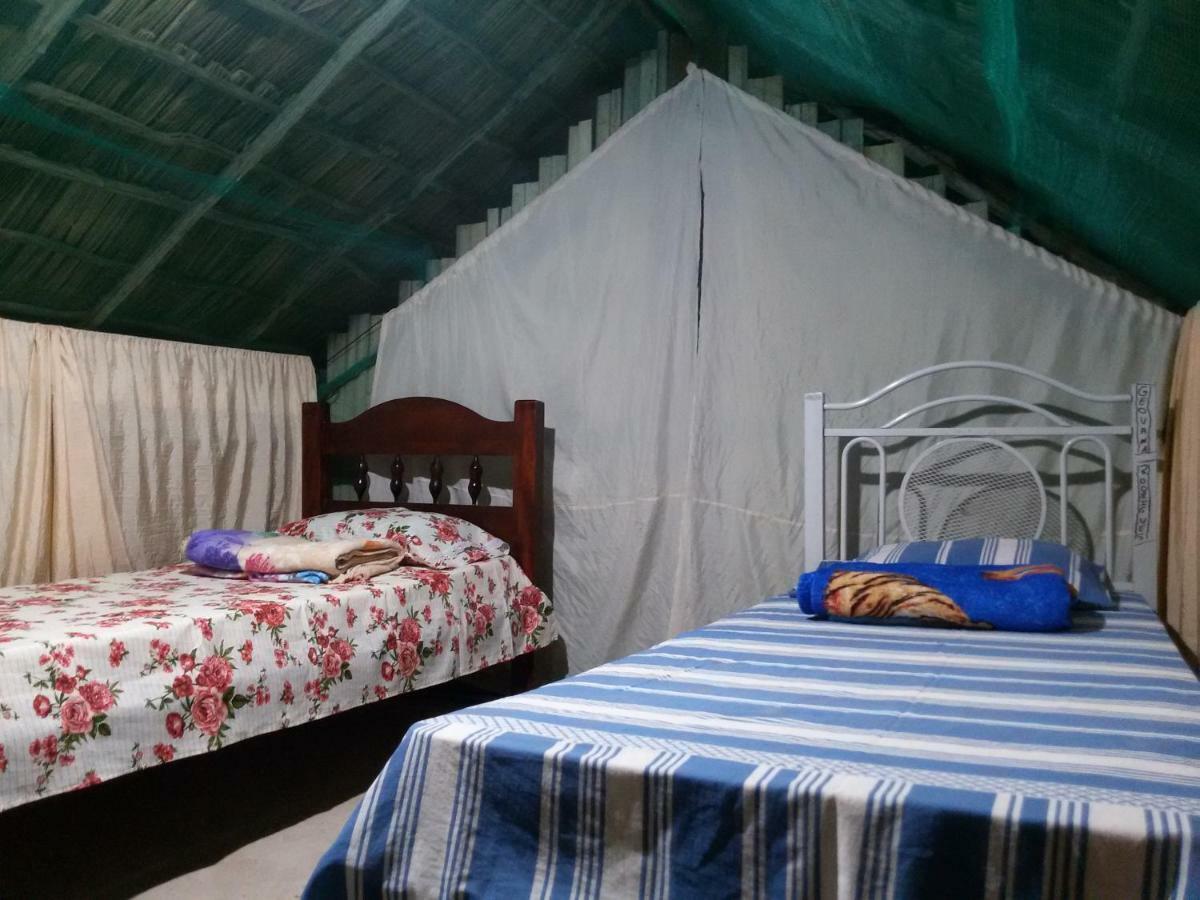 Refugio Raiz Camping Carolina  Exterior photo